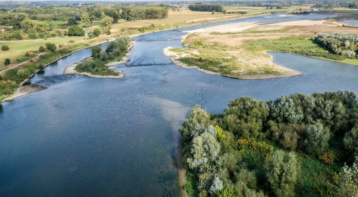 Een rivierlandschap met verschillende groene eilandjes en omliggende velden en bossen.